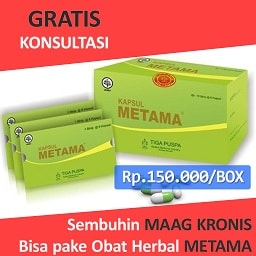 obat herbal untuk lambung